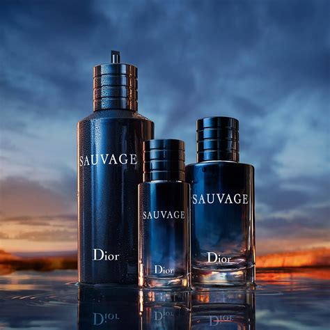 sauvage dior pequeno|sauvage dior for men.